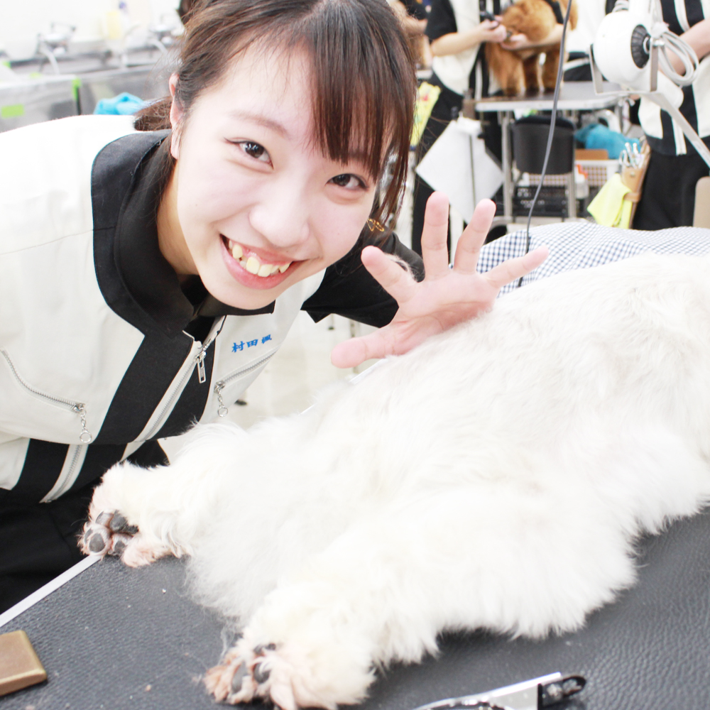 お客様の愛犬、うとうとシリーズ！